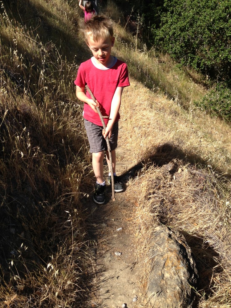 Jack finds some petrified scat and learns what really dry poop looks like. 