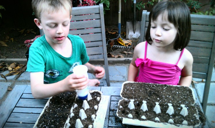 Watering our seedlings