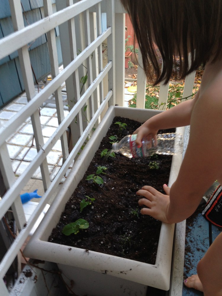 Watering our garden