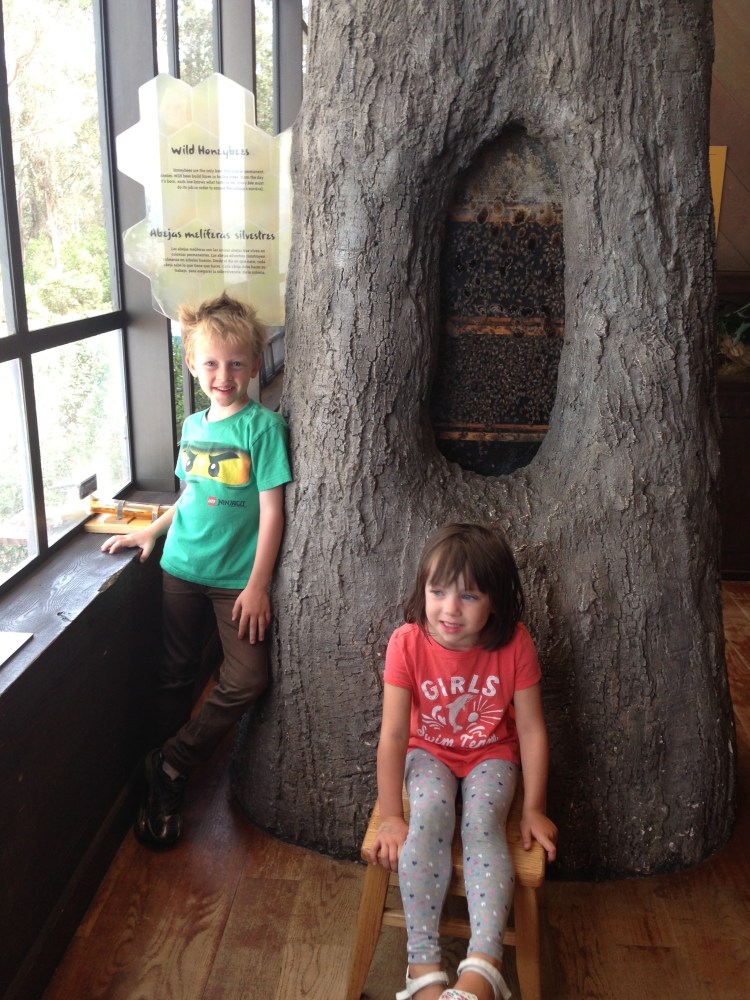 and bees are also pretty kick-ass. Especially female bees who we learned basically do everything. 