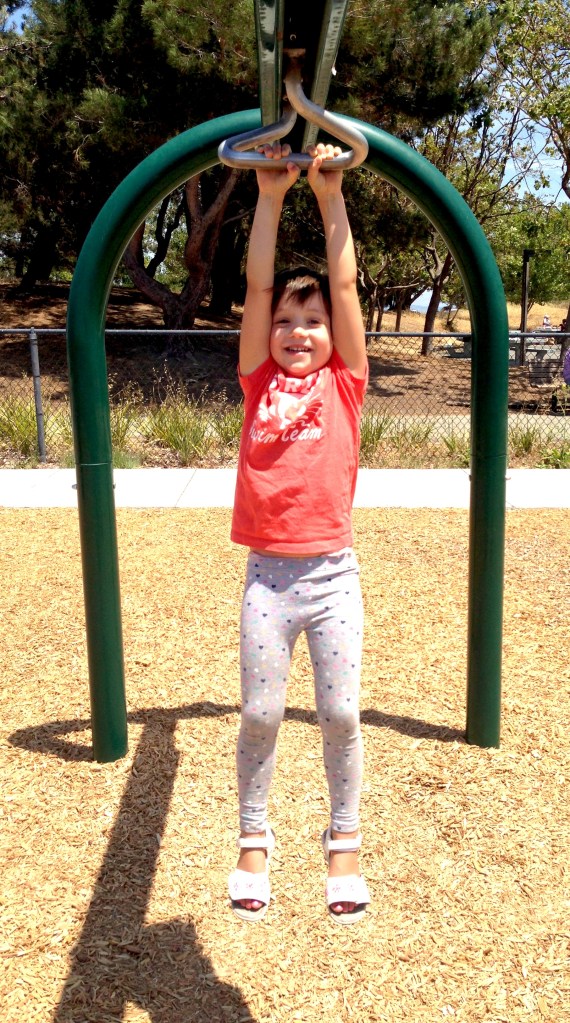 zip line back & forth