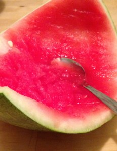 Watermelon Leftovers